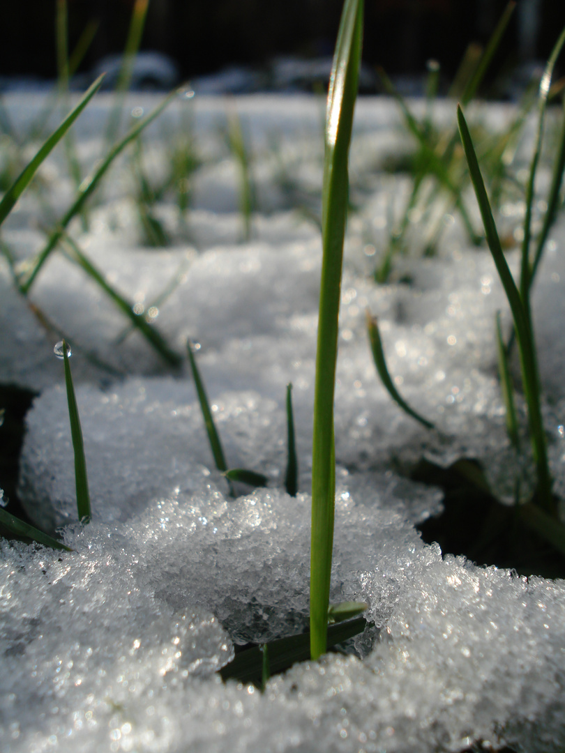 erster Schnee.