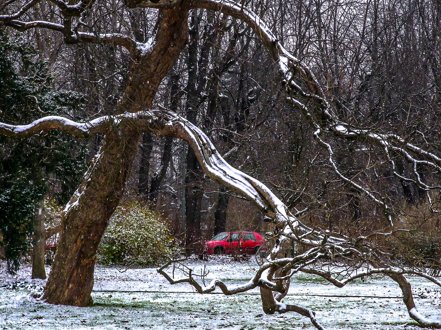 Erster Schnee