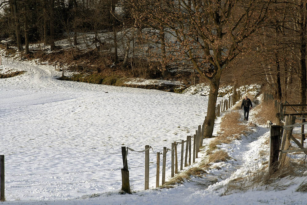 Erster Schnee 2