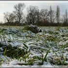 Erster Schnee 22.11.08 in Meerbusch Teil 2