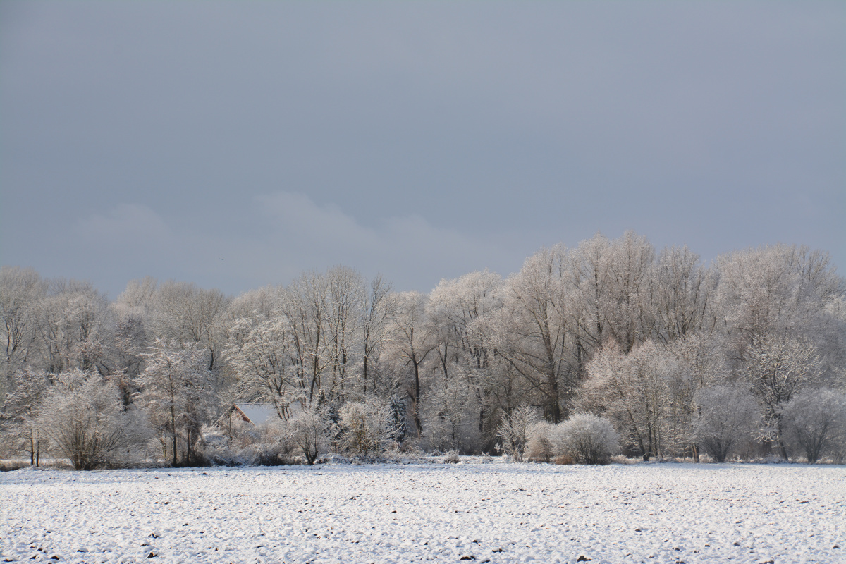 Erster Schnee