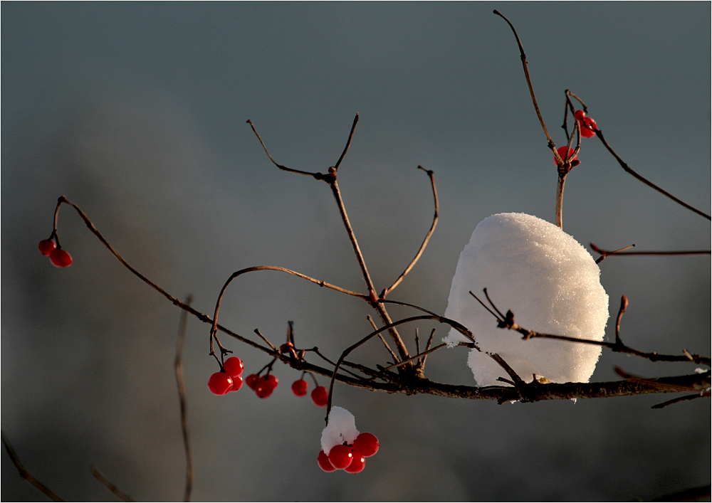 erster Schnee