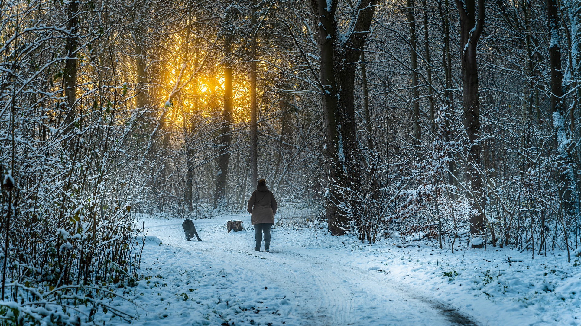 Erster Schnee