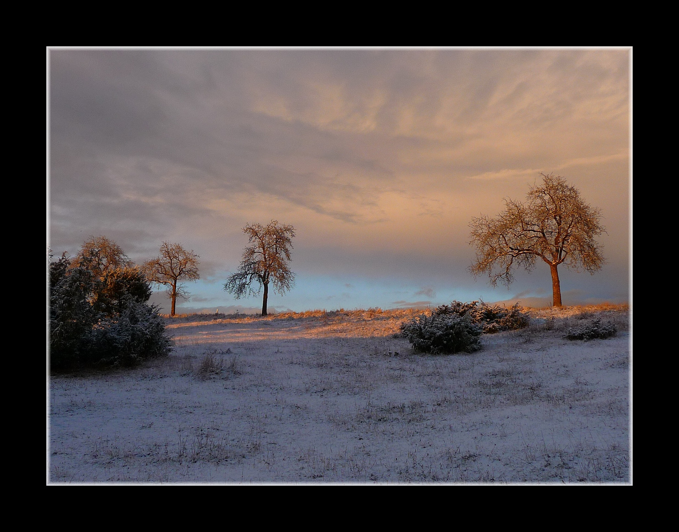 Erster Schnee ...