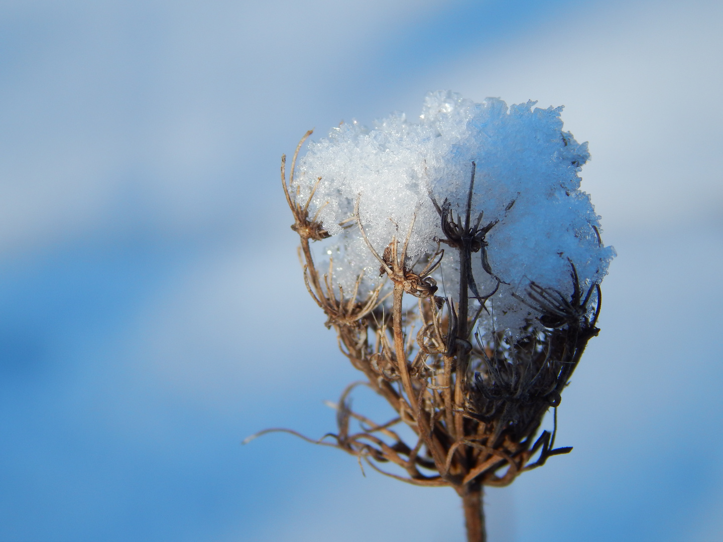 Erster Schnee