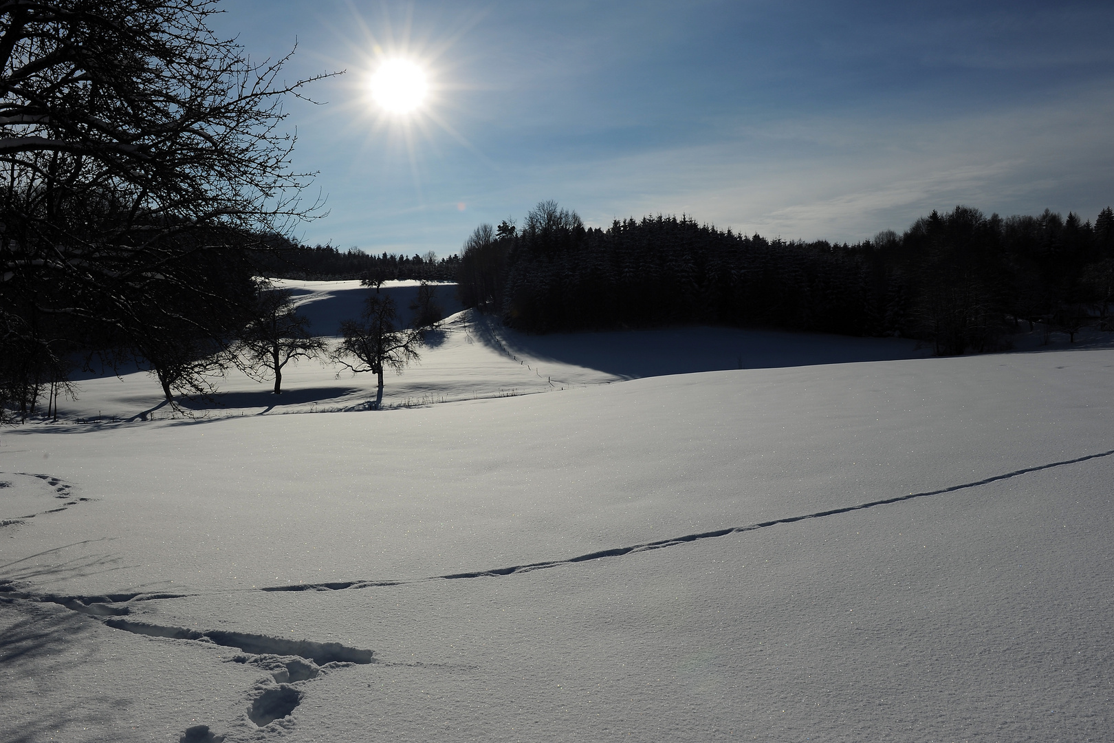 erster Schnee