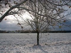 erster Schnee