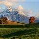 Allgäu/Alpen