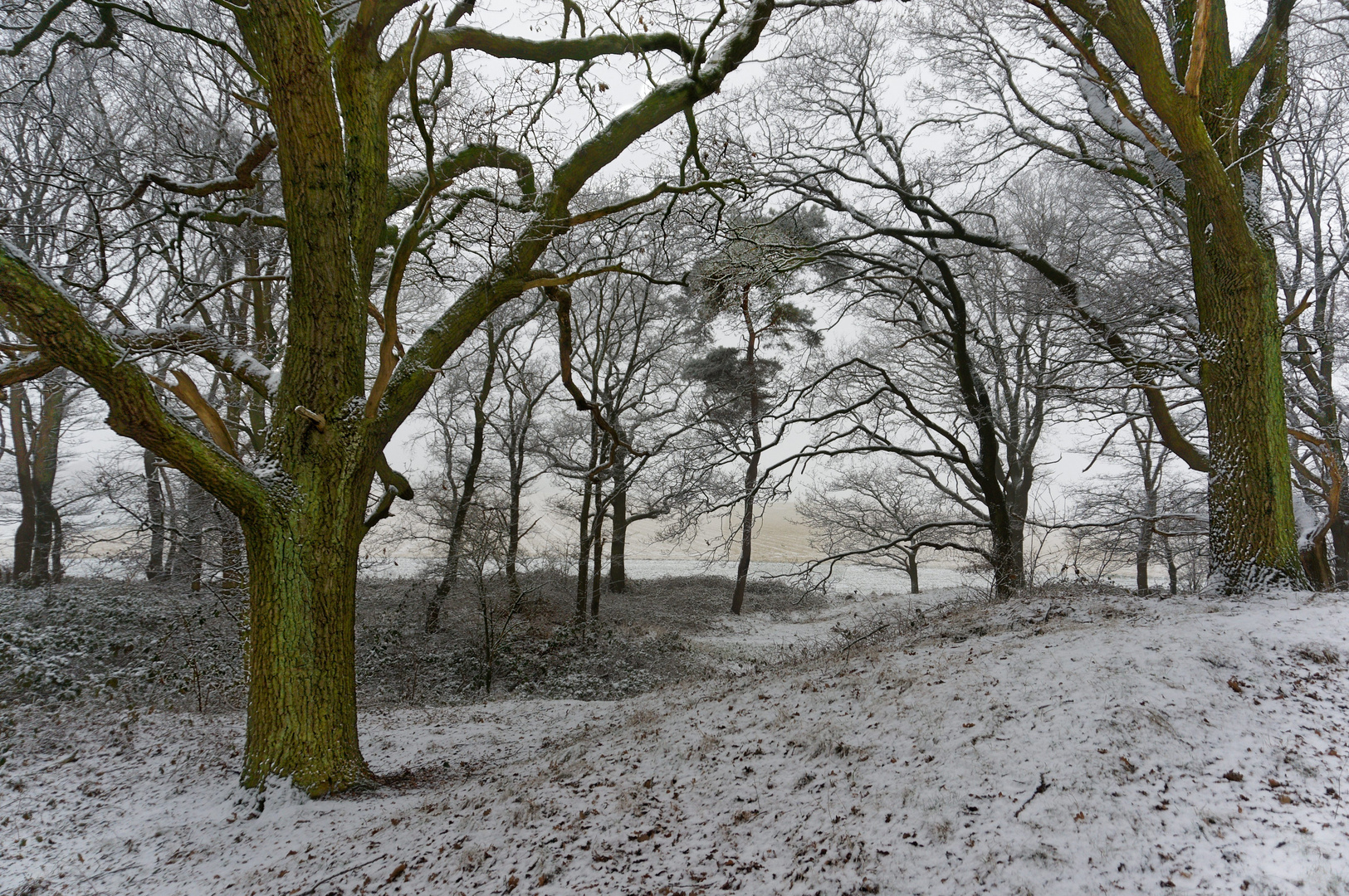 Erster Schnee