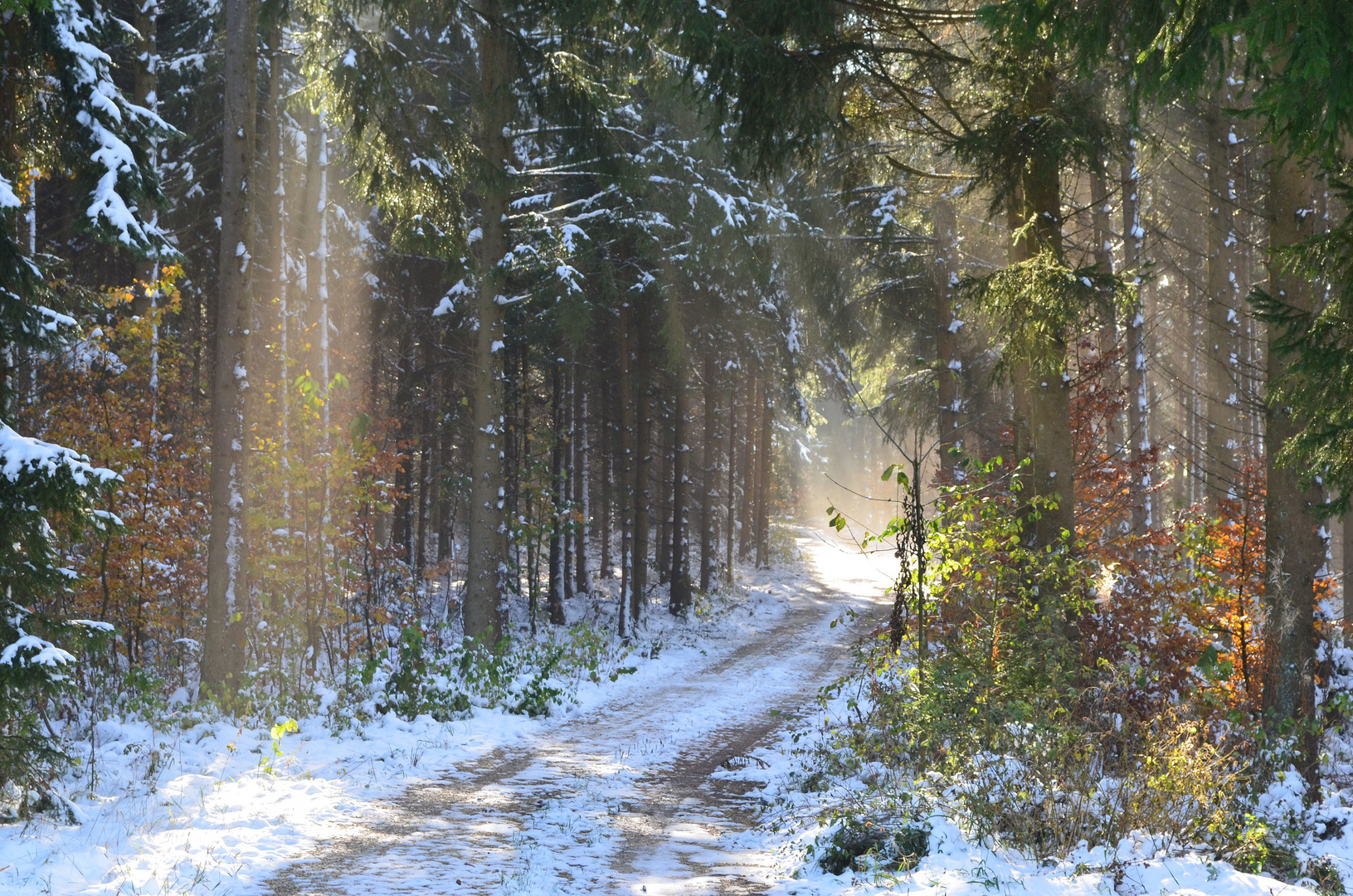 erster Schnee