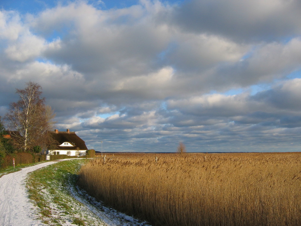 Erster Schnee