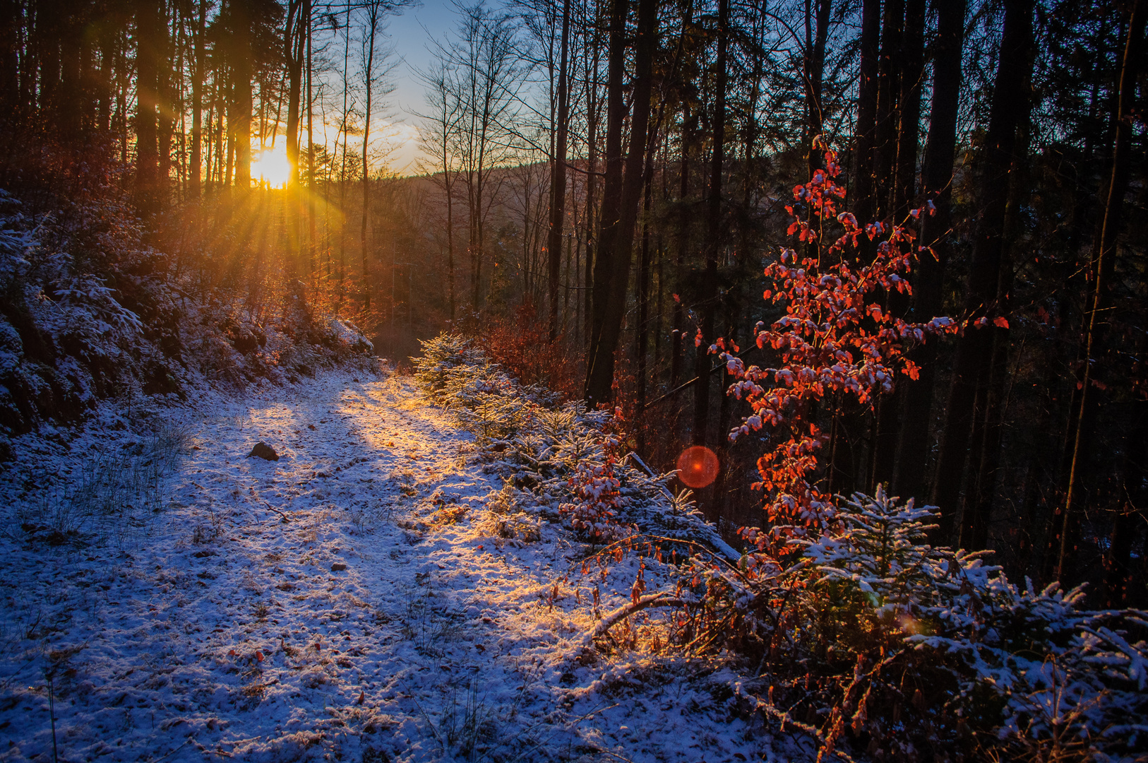 Erster Schnee