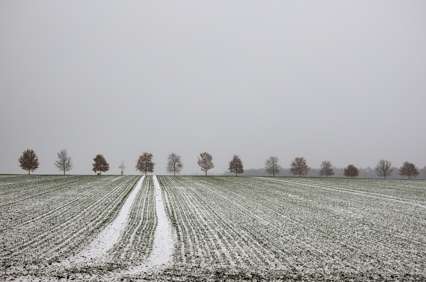 Erster Schnee