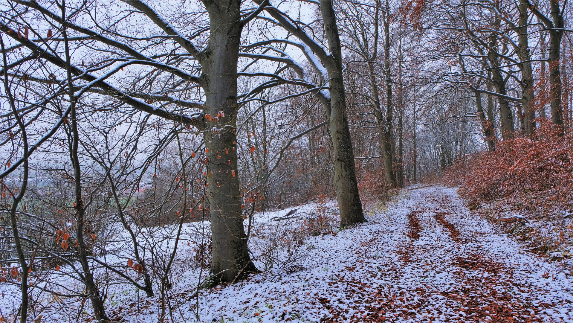 erster Schnee