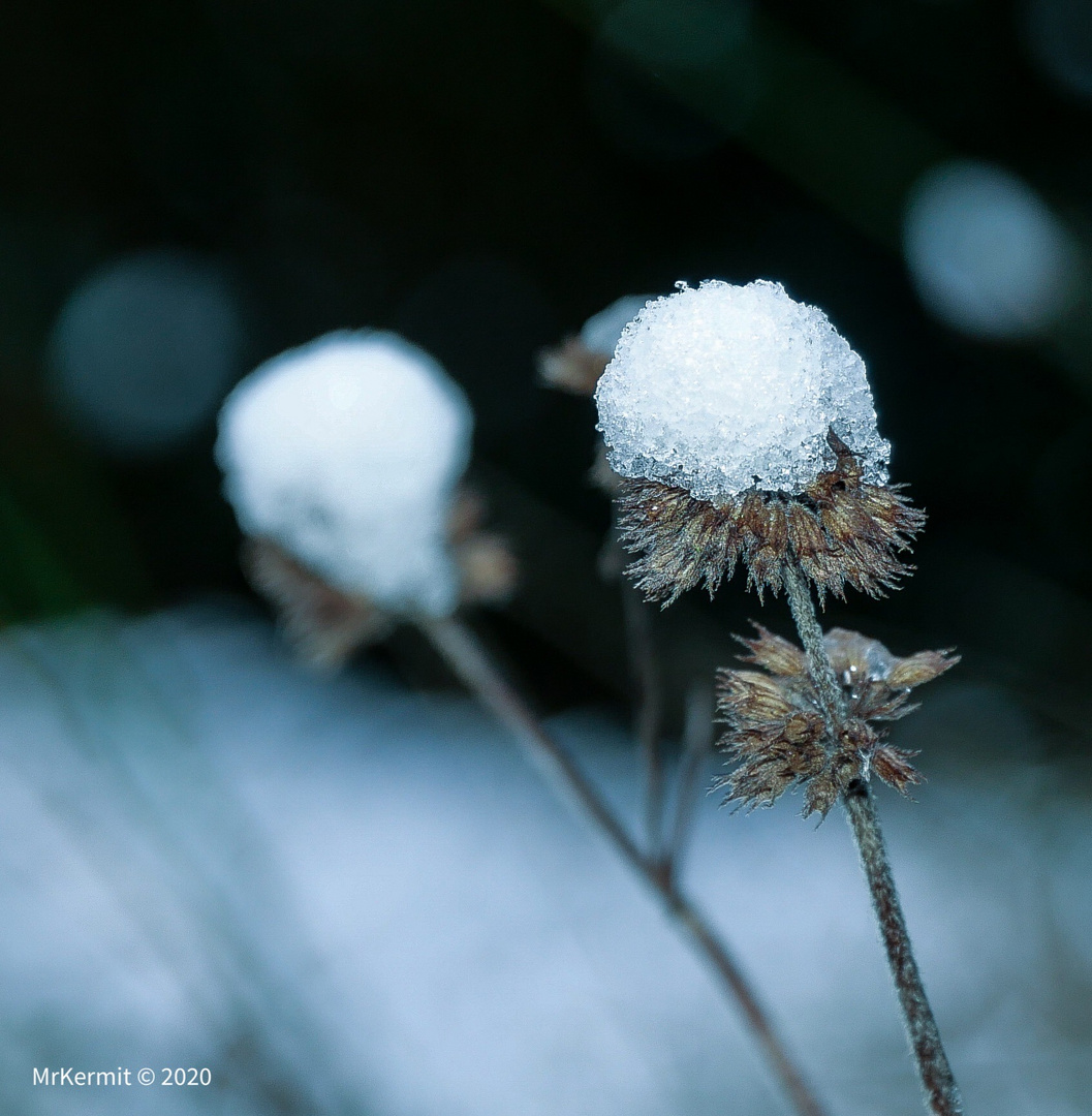 Erster Schnee