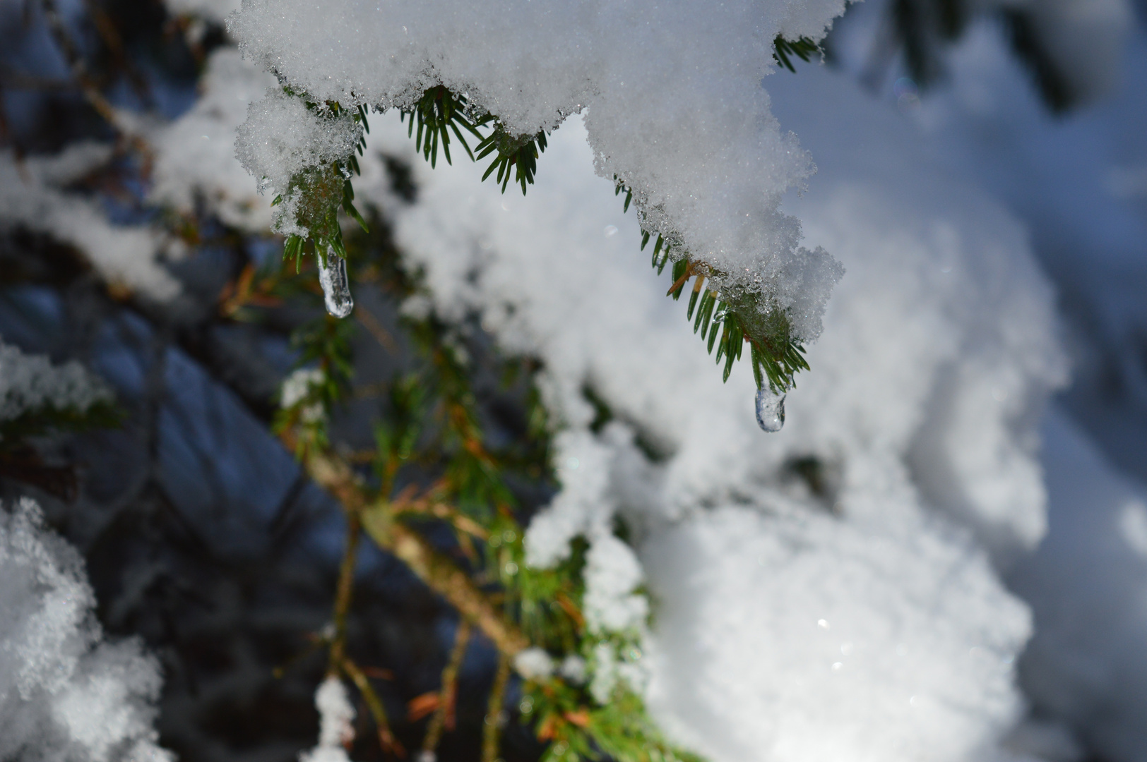 Erster Schnee