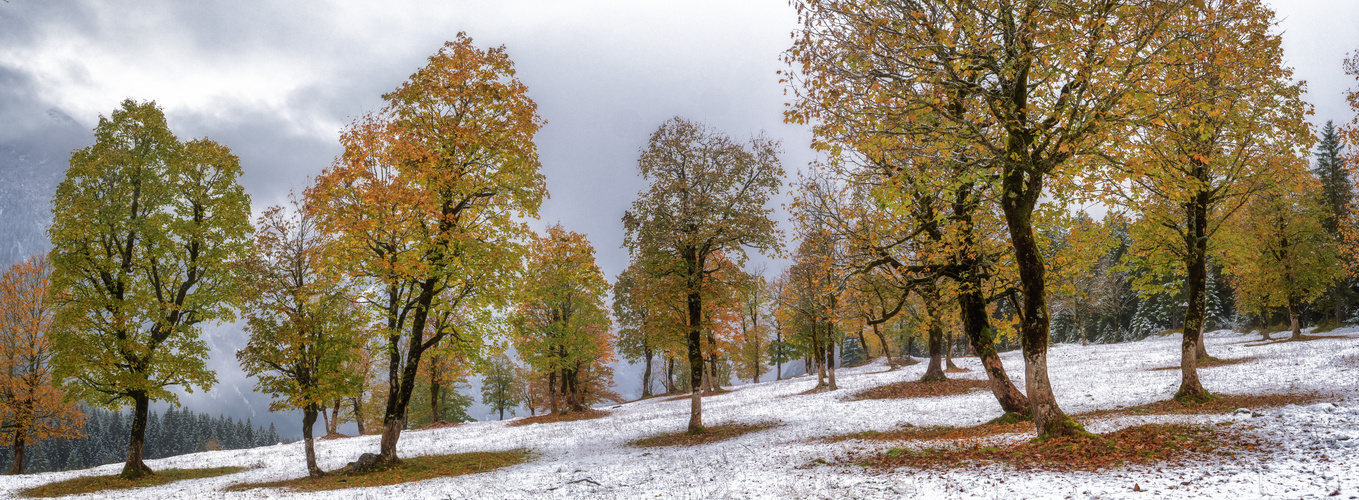 Erster Schnee am Ahornboden