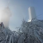 erster Schnee am großen Feldberg