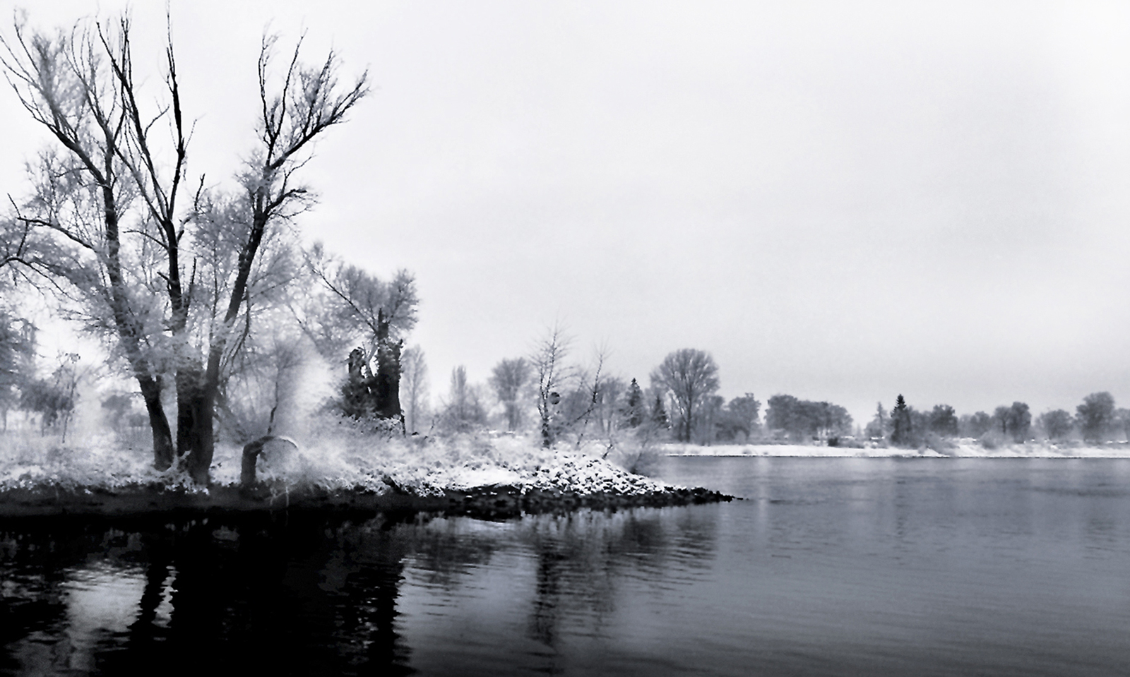 erster-Schnee-am-Mannheimer Altrhein