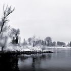 erster-Schnee-am-Mannheimer Altrhein