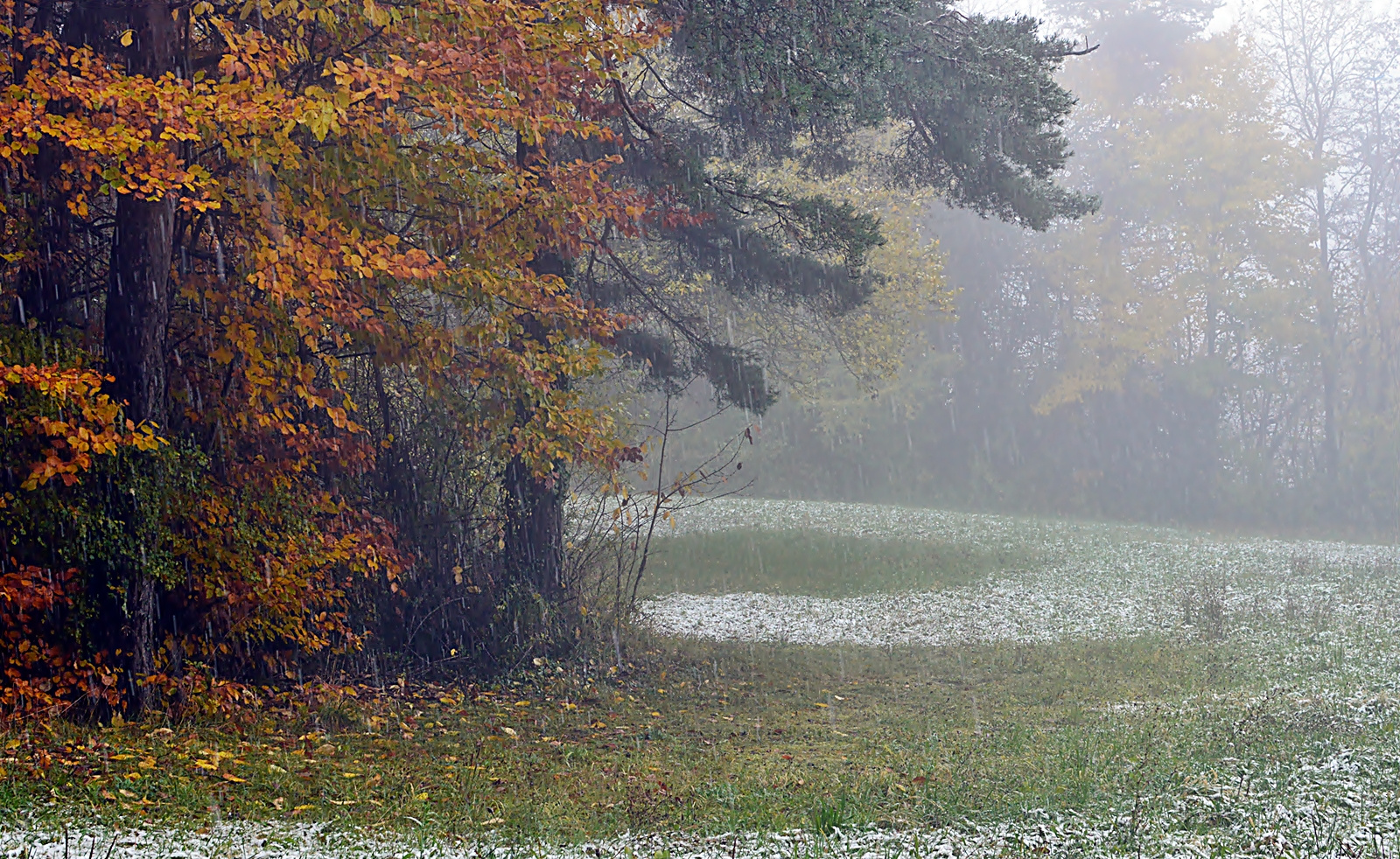 ~~~ Erster Schnee am Oberrhein ~~~