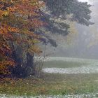 ~~~ Erster Schnee am Oberrhein ~~~