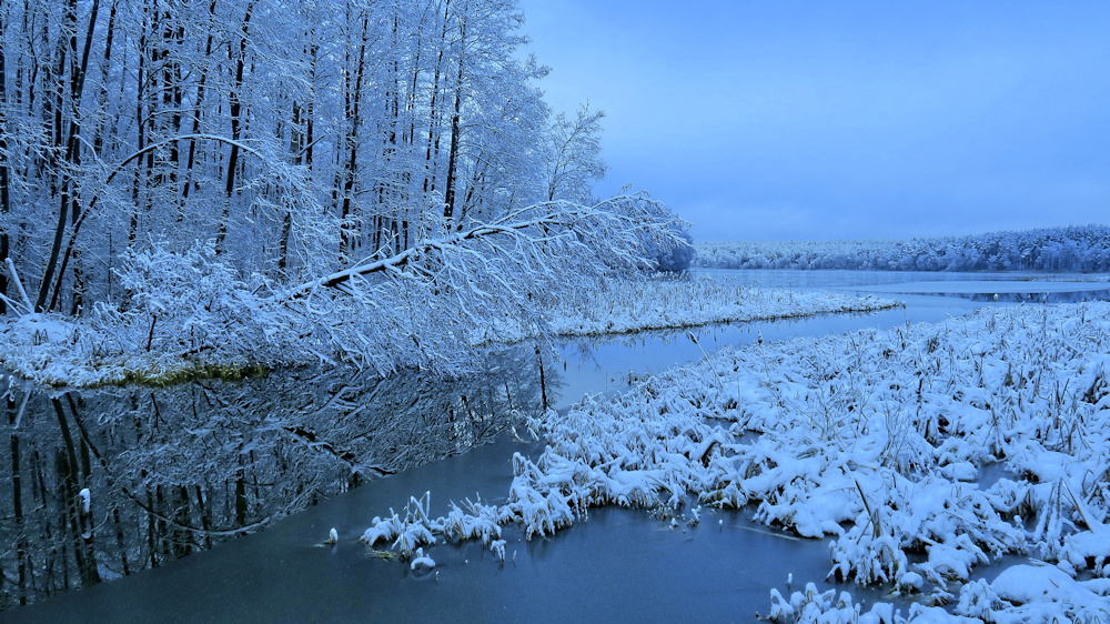 Erster Schnee am See