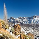 Erster Schnee am Teide