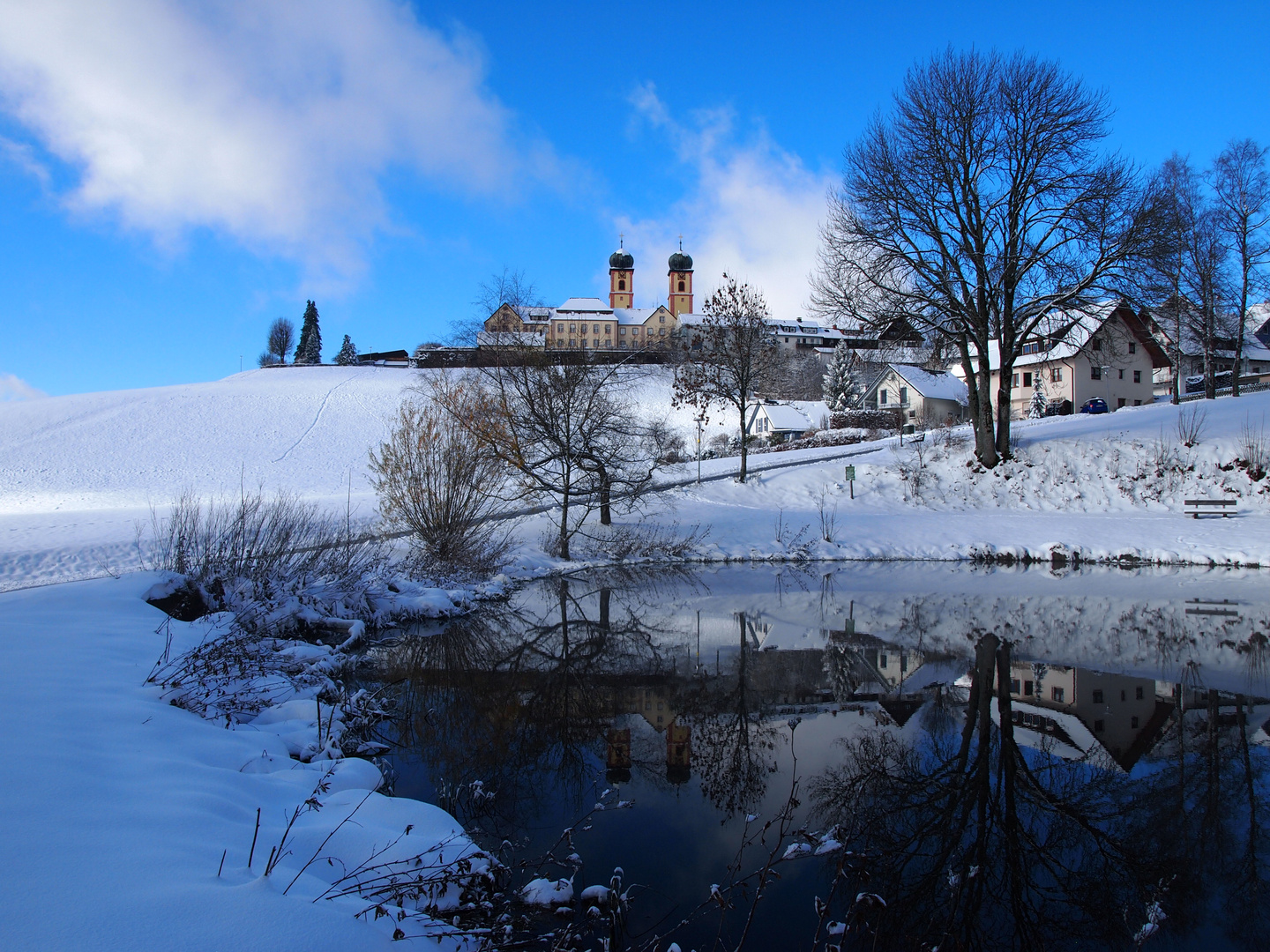 Erster Schnee am Weiher