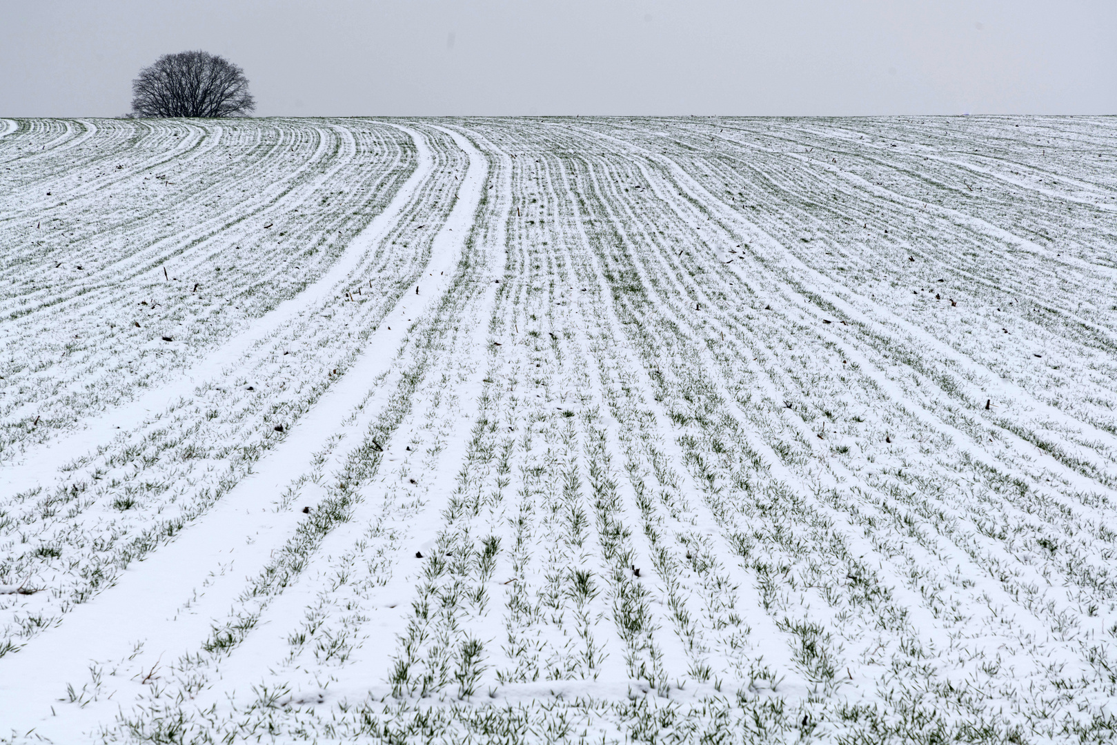 Erster Schnee an der Schwalm 1