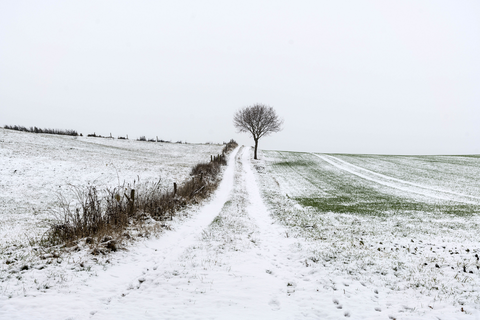 Erster Schnee an der Schwalm 3