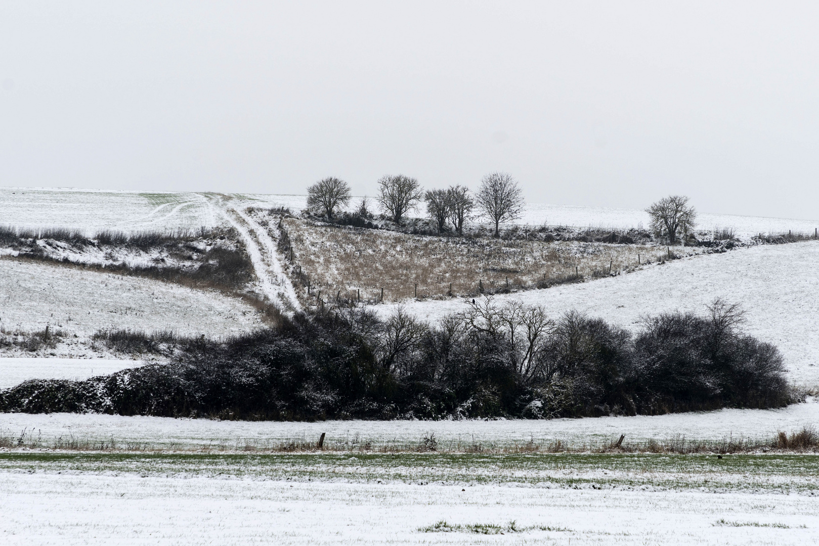 Erster Schnee an der Schwalm 4