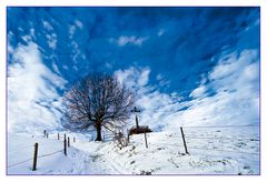 Erster Schnee auf der Höhe