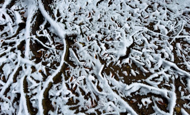 Erster Schnee auf der Schwäbischen Alb