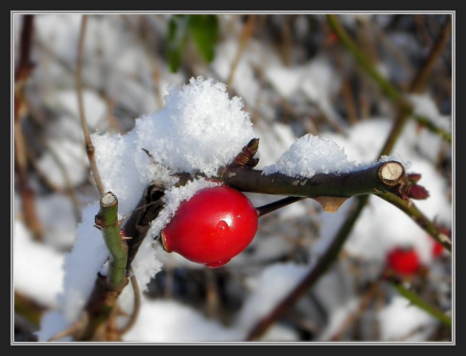 Erster Schnee...