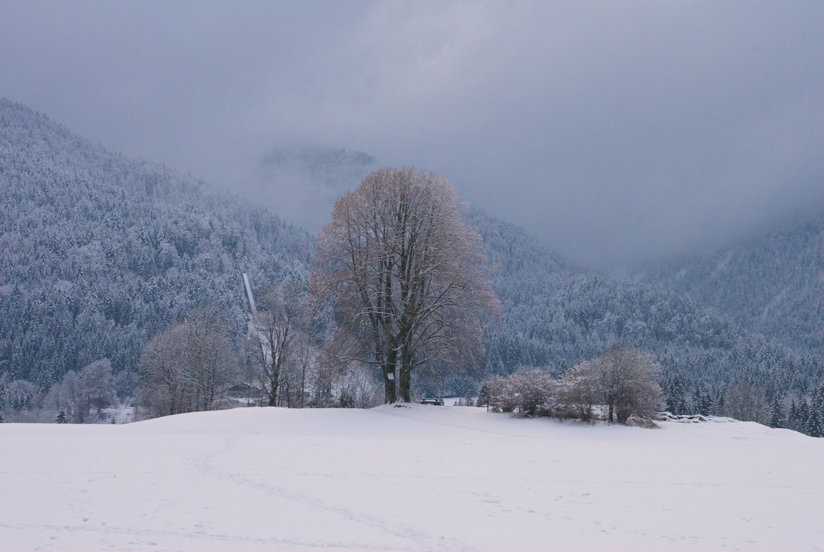 erster Schnee ....