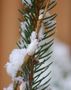 erster Schnee... von Manuela Stahl