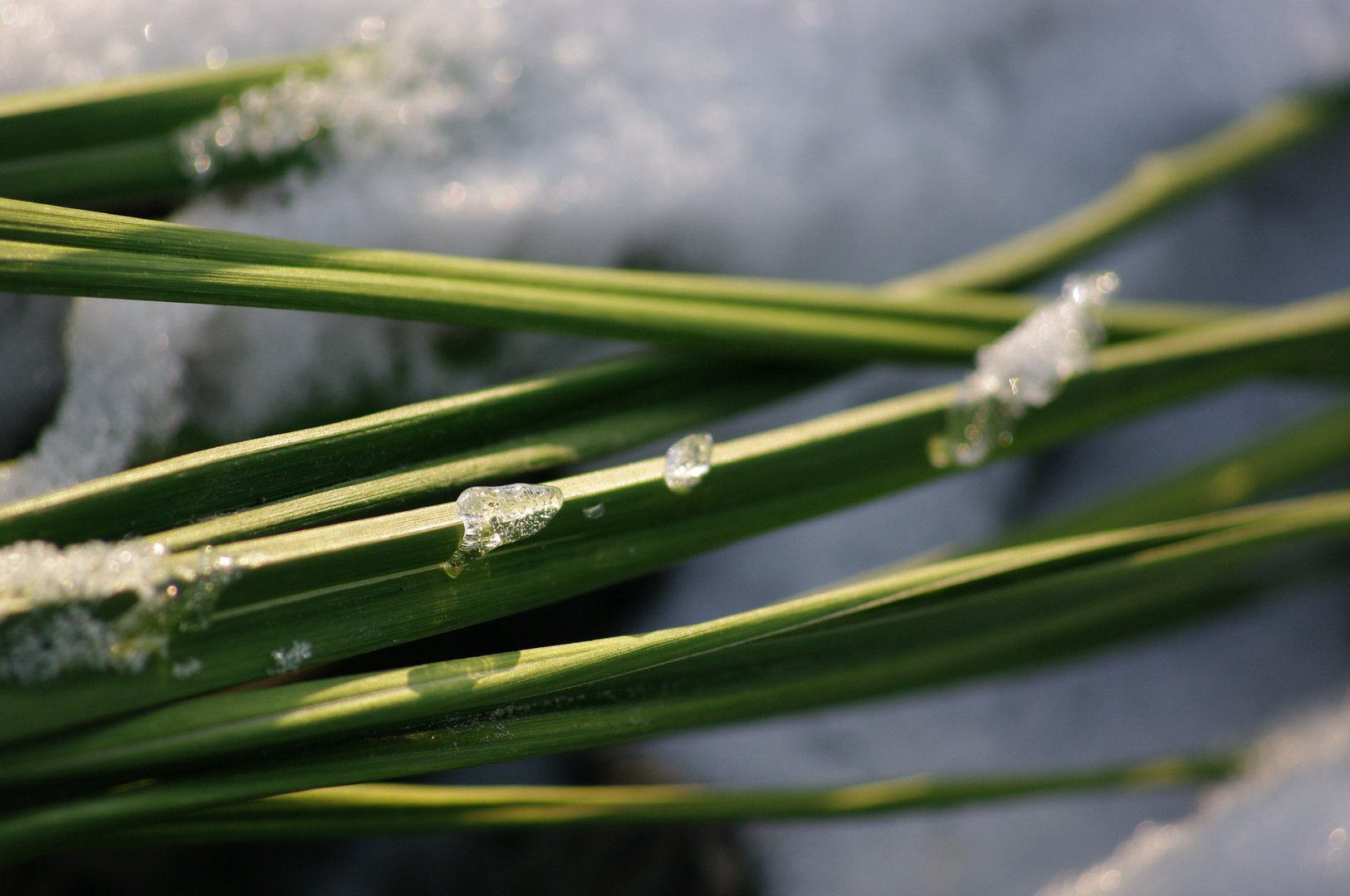 Erster Schnee