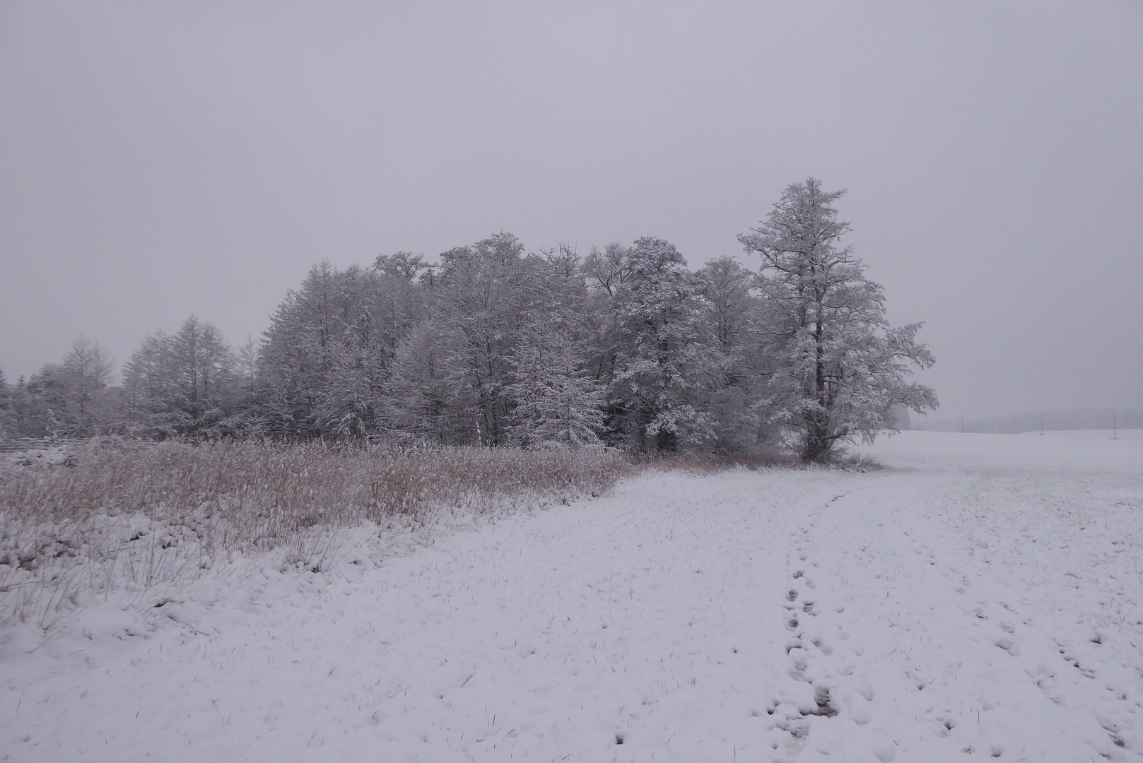 erster Schnee