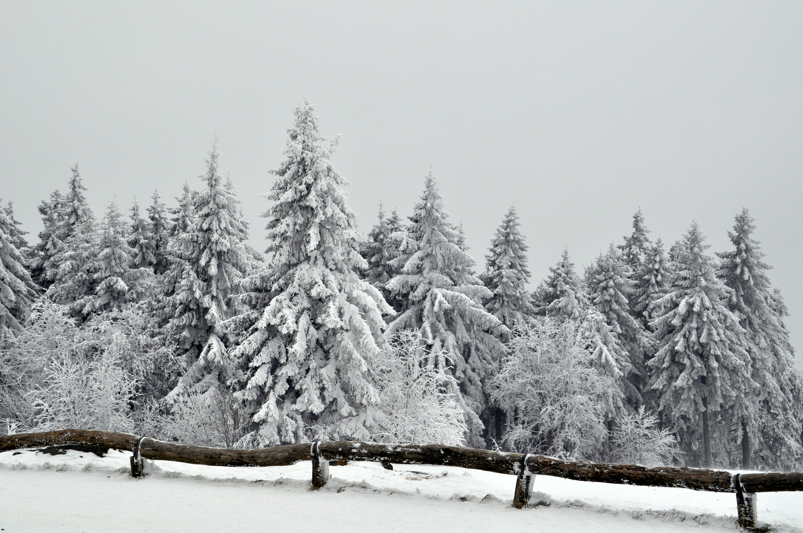 Erster Schnee