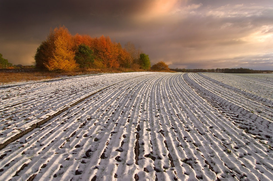 Erster Schnee