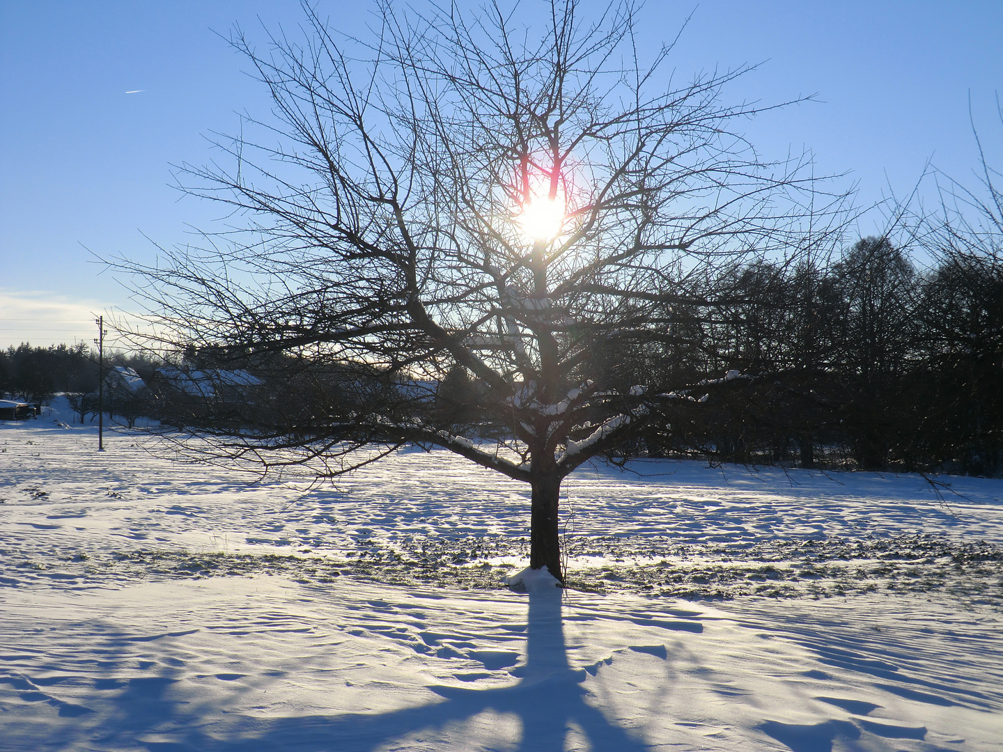 erster Schnee