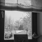 Erster Schnee durchs Fenster betrachtet