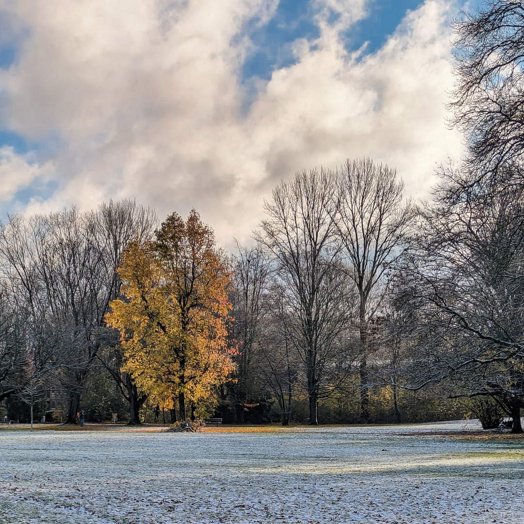 Erster Schnee