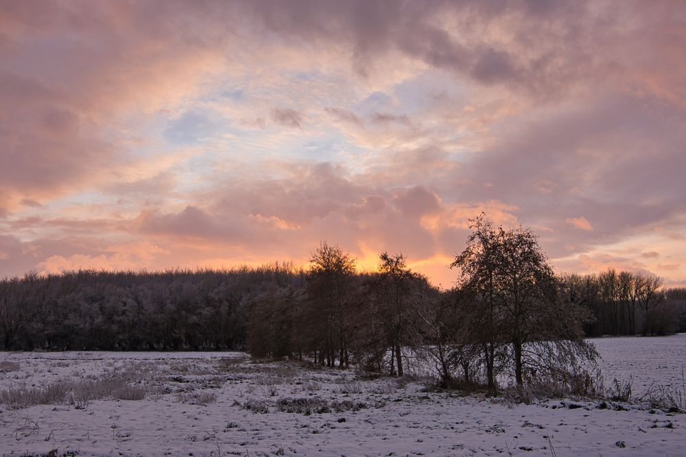 erster Schnee