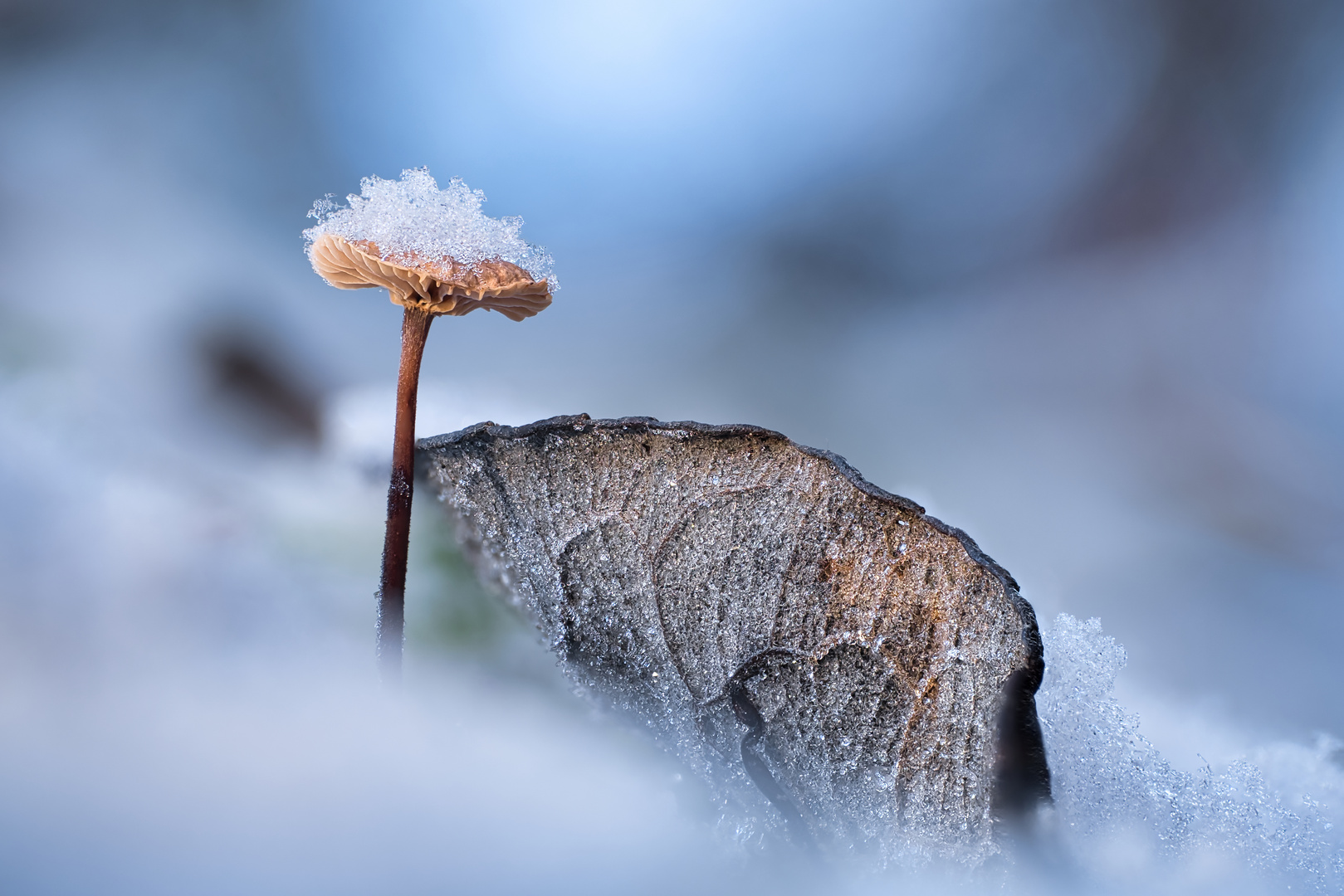 Erster Schnee