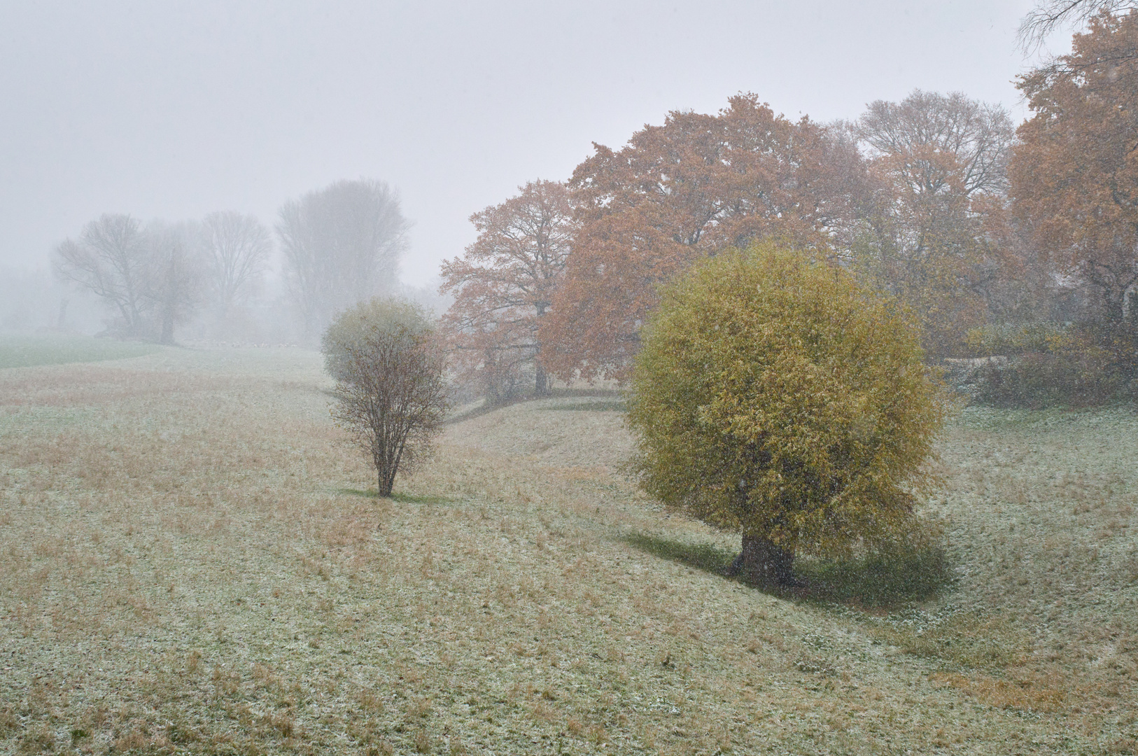 Erster Schnee