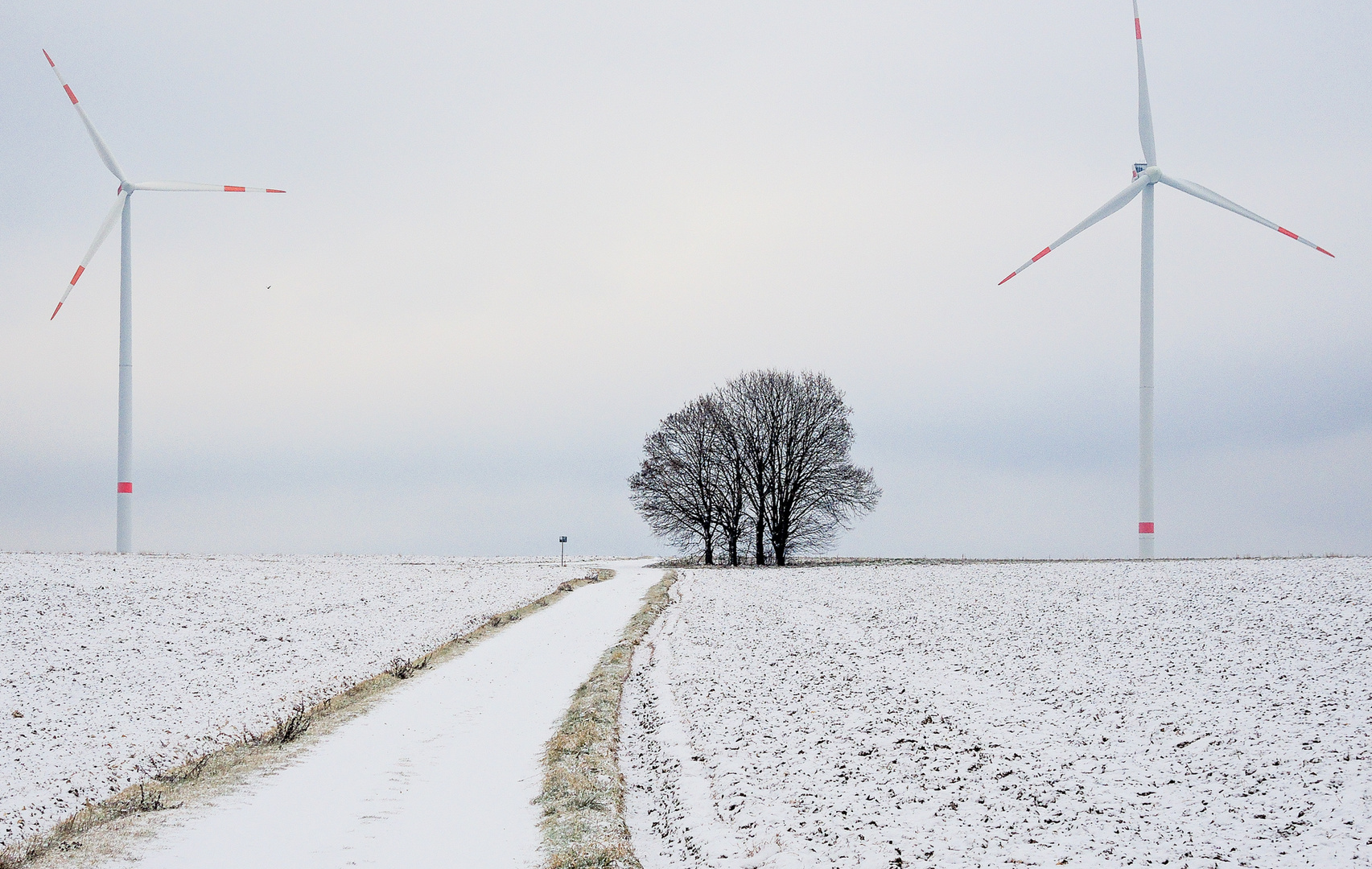 Erster Schnee...