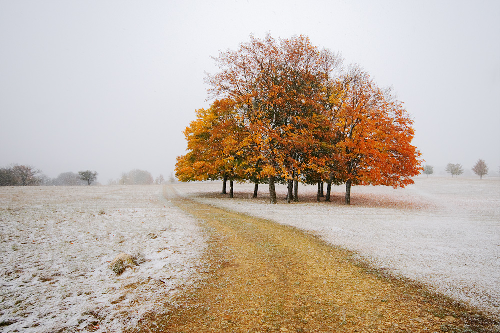 Erster Schnee II