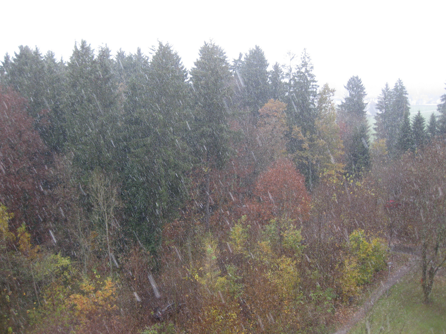 Erster Schnee im Allgäu 6.11.16